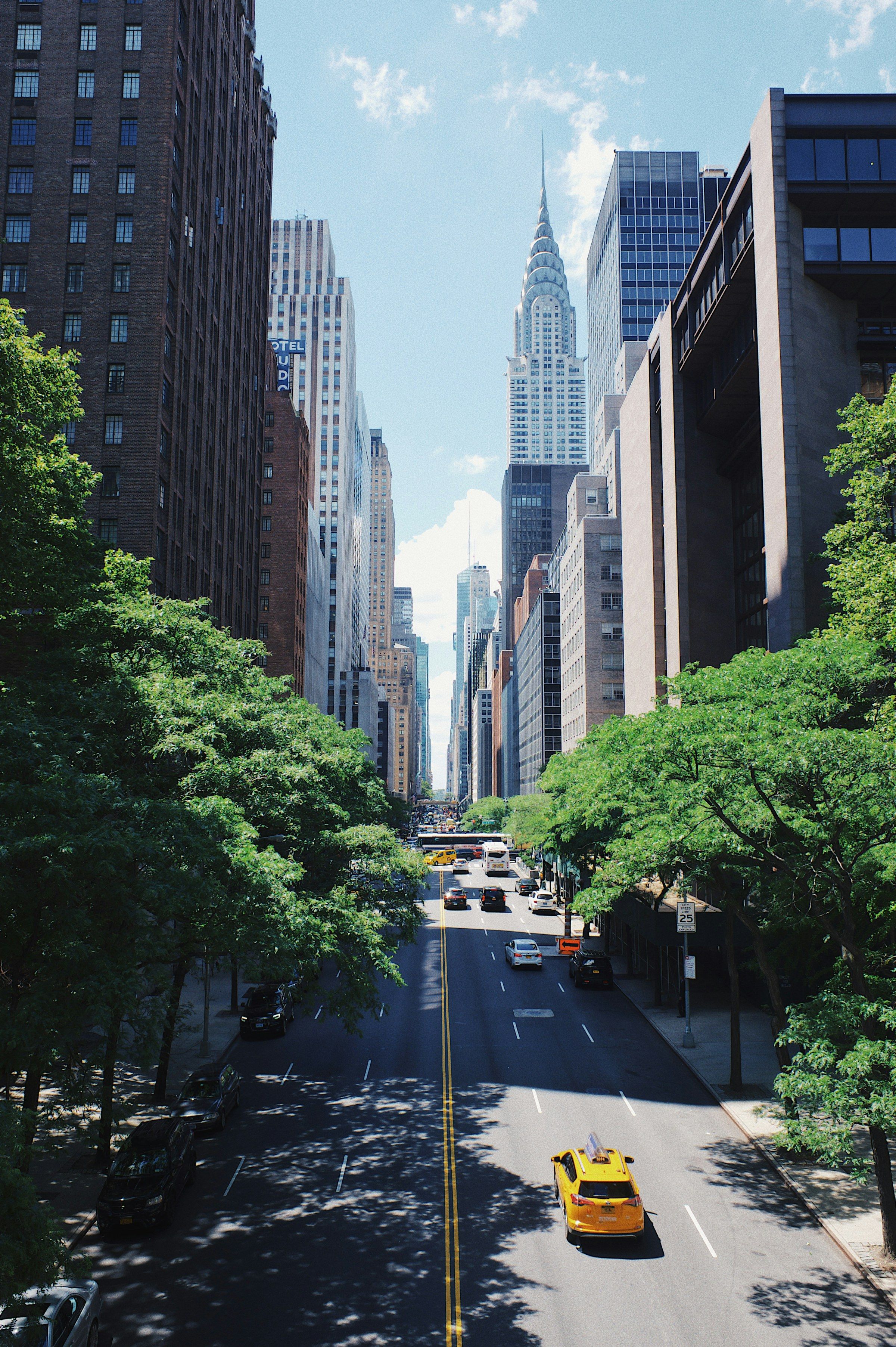 New York’ta ağaçlarla çevrili cadde ve gökdelenler
