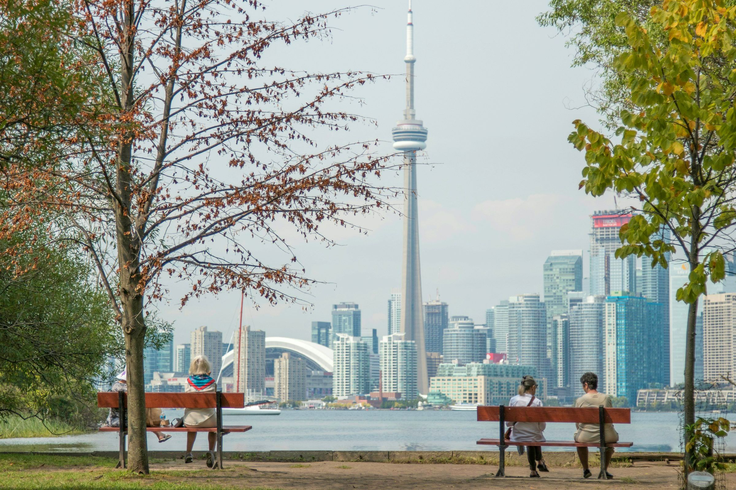 Toronto adasından şehir manzarasına bakan bankta oturan iki kişi